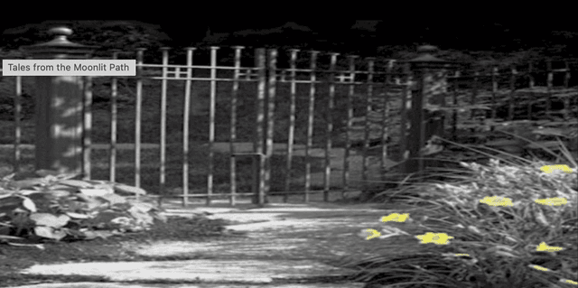 Tales from the Moonlit Path latest issue