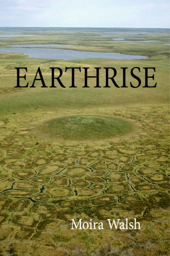 Book cover of EARTHRISE by Moira