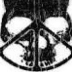 Peace in war avatar