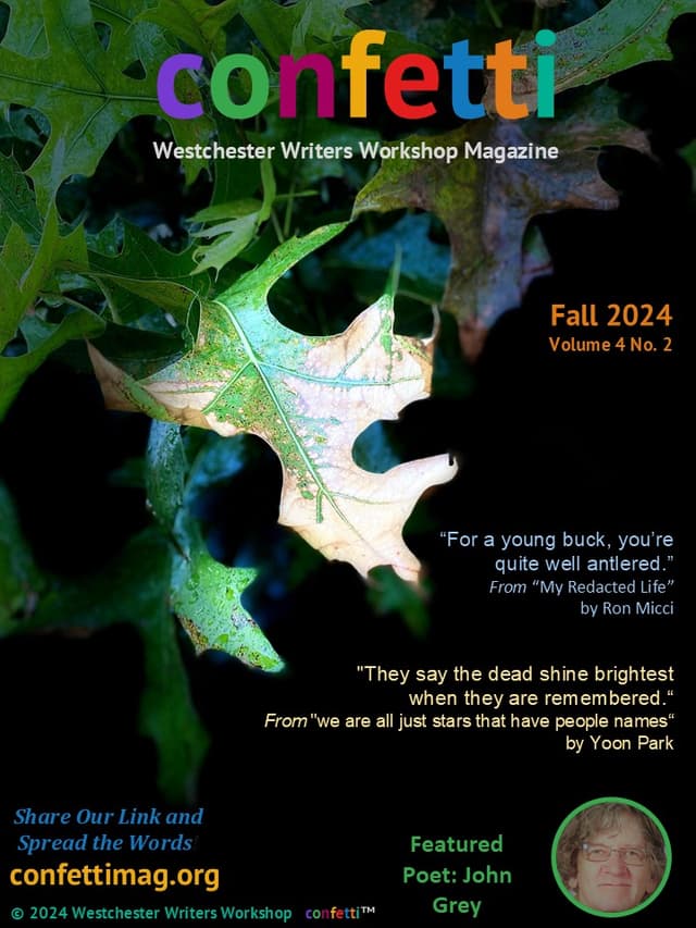 confetti: Westchester Writers Workshop Magazine latest issue