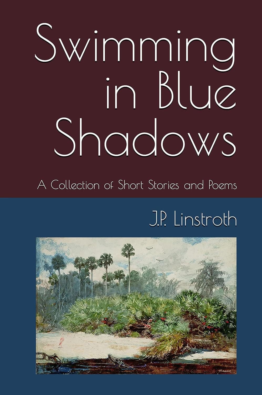 Book cover of Swimming in Blue Shadows: A Collection of Short Stories and Poems by J P Linstroth