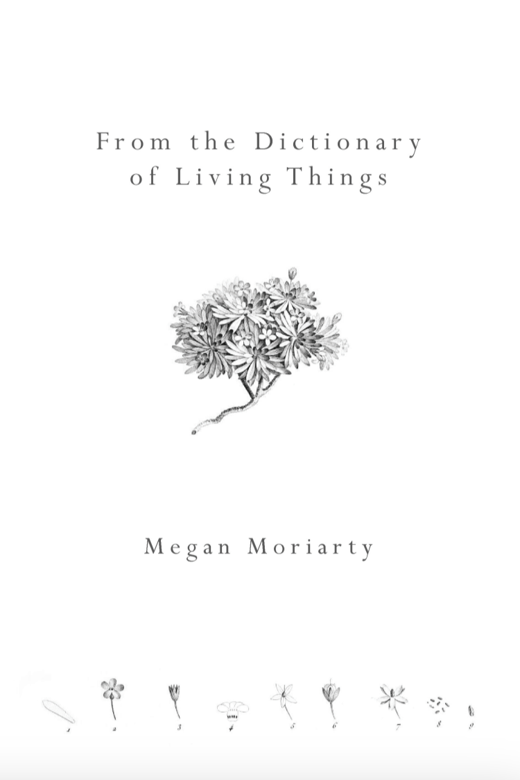Book cover of From the Dictionary of Living Things by Megan Moriarty