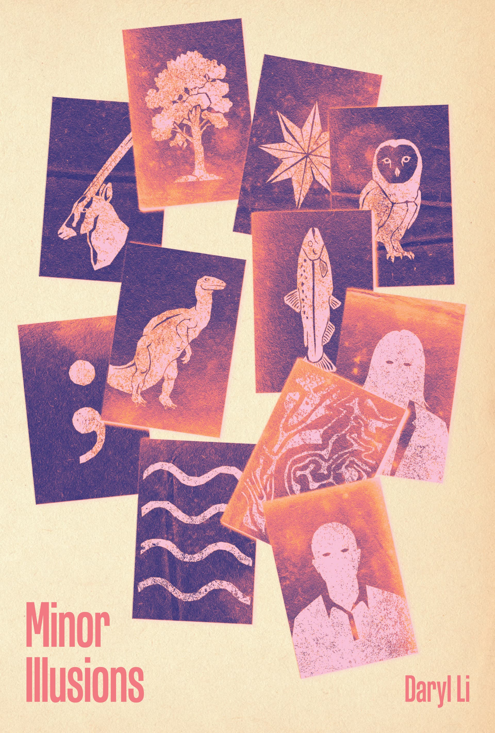 Book cover of Minor Illusions by Daryl Li