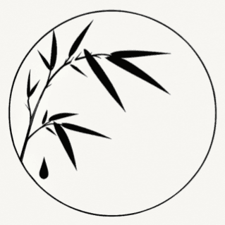 sanasasamori avatar