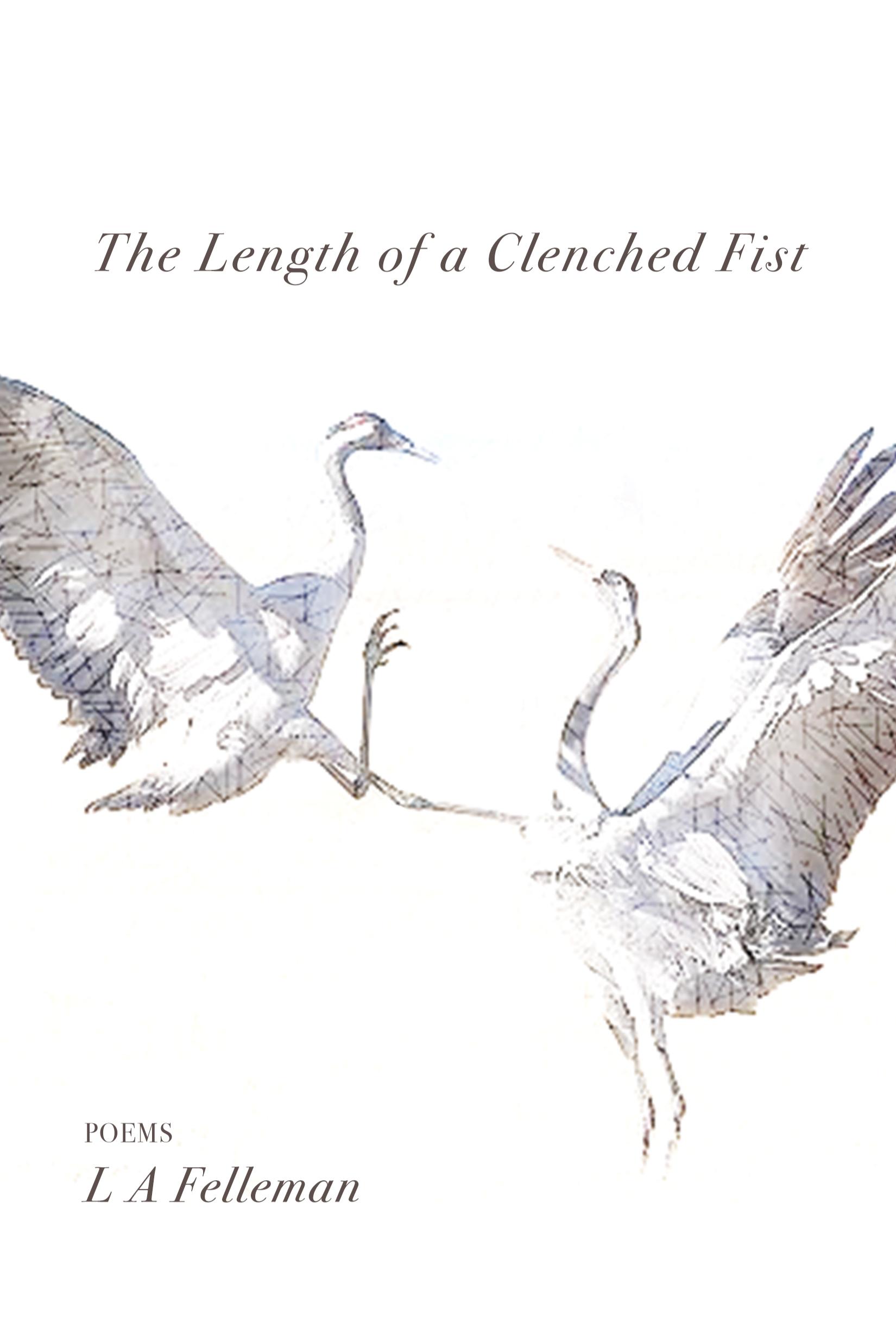 Book cover of The Length of a Clenched Fist by LA Felleman