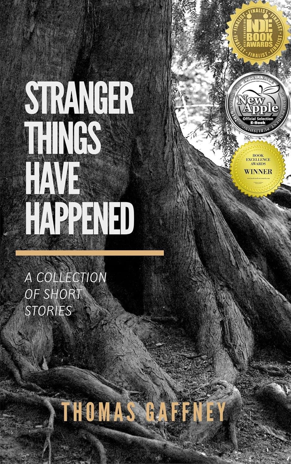 Book cover of Stranger Things Have Happened by Thomas Gaffney