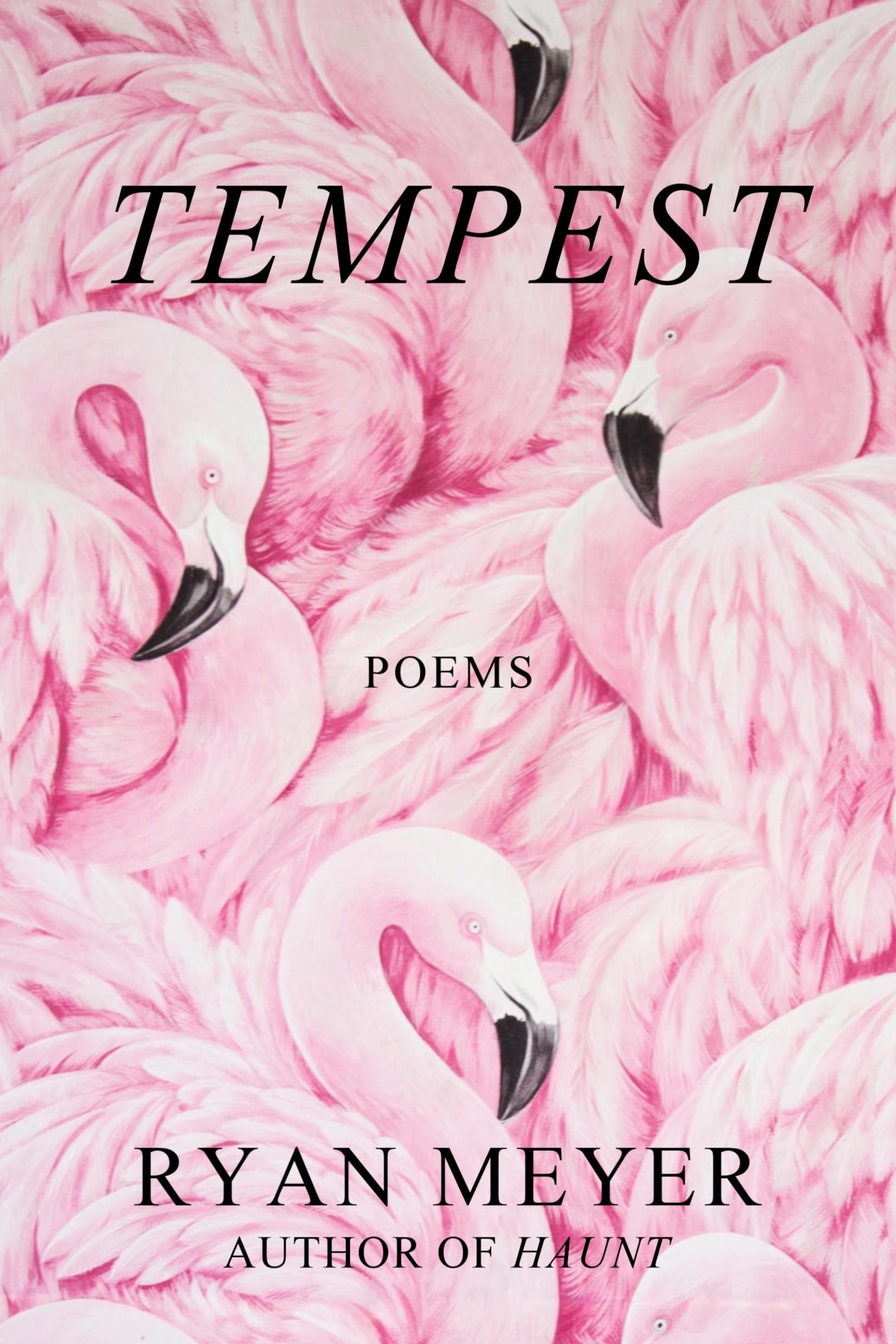 Book cover of Tempest: Poems by justatwinge