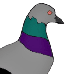 The Utrecht Pigeon avatar
