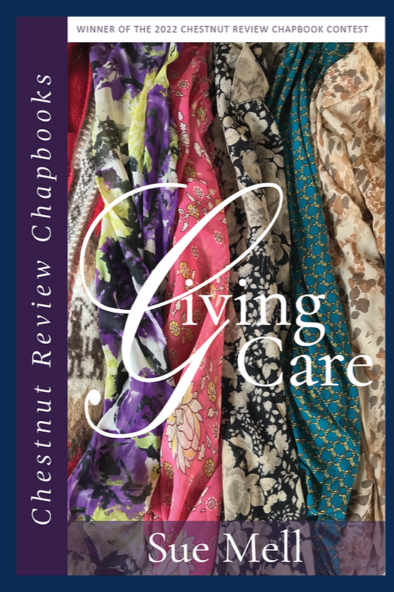 Book cover of Giving Care by suemell