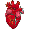 Heartlines Spec logo