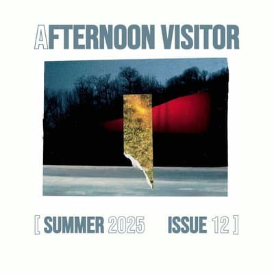Afternoon Visitor latest issue