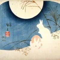 Collection cover