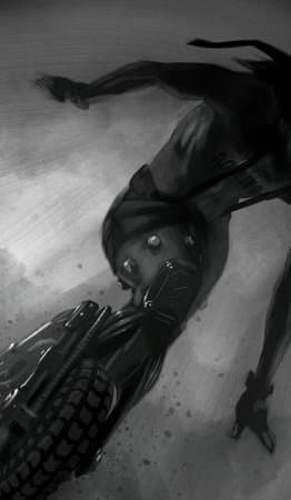 Collection cover