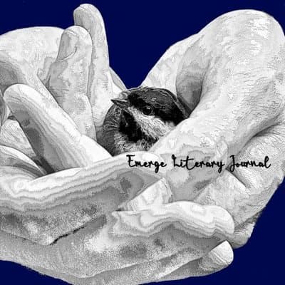 Emerge Literary Journal latest issue
