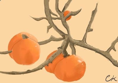 Persimmon Review latest issue