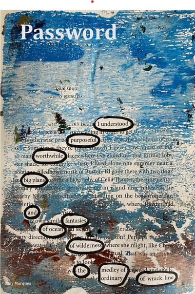 Password: the journal of very short poetry latest issue