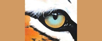 The Listening Eye latest issue
