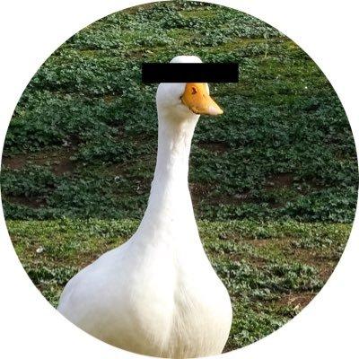 Sad Goose Cooperative avatar